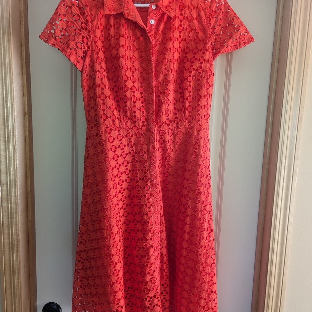 Standout Dress for Work or Fun